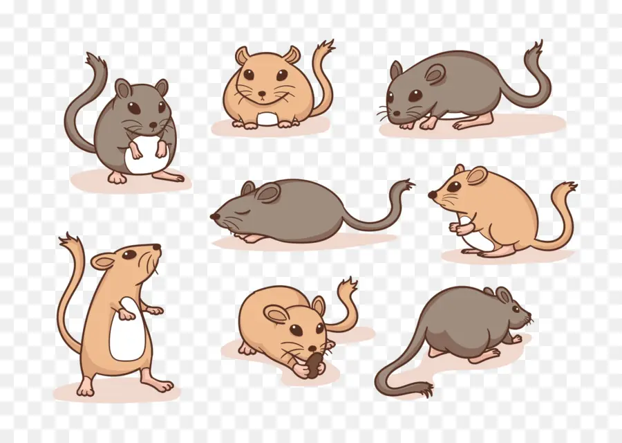 Tikus Lucu，Kartun PNG