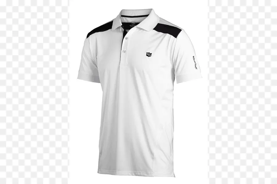 Polo Shirt，Tshirt PNG