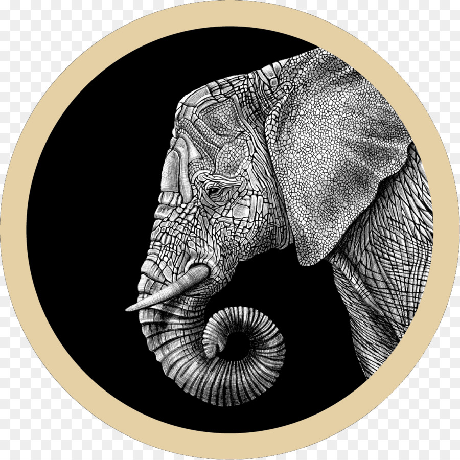 Gajah，Menggambar PNG