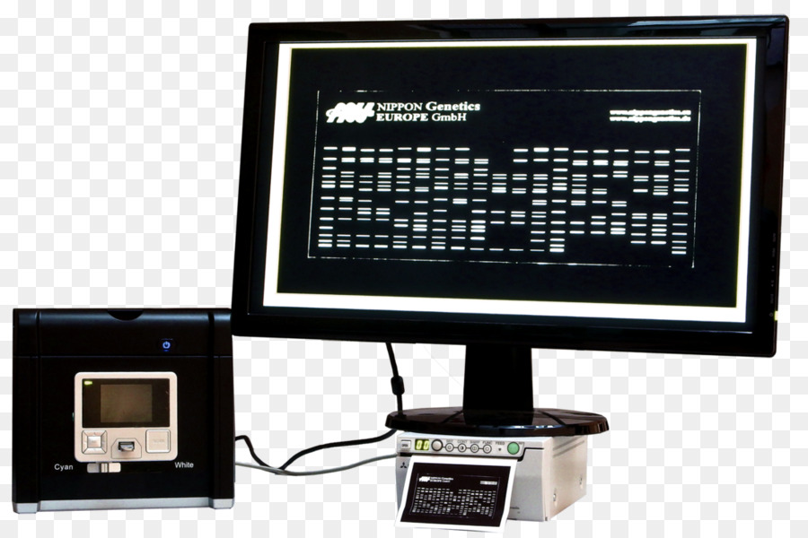 Monitor Komputer Aksesori，Monitor Komputer PNG