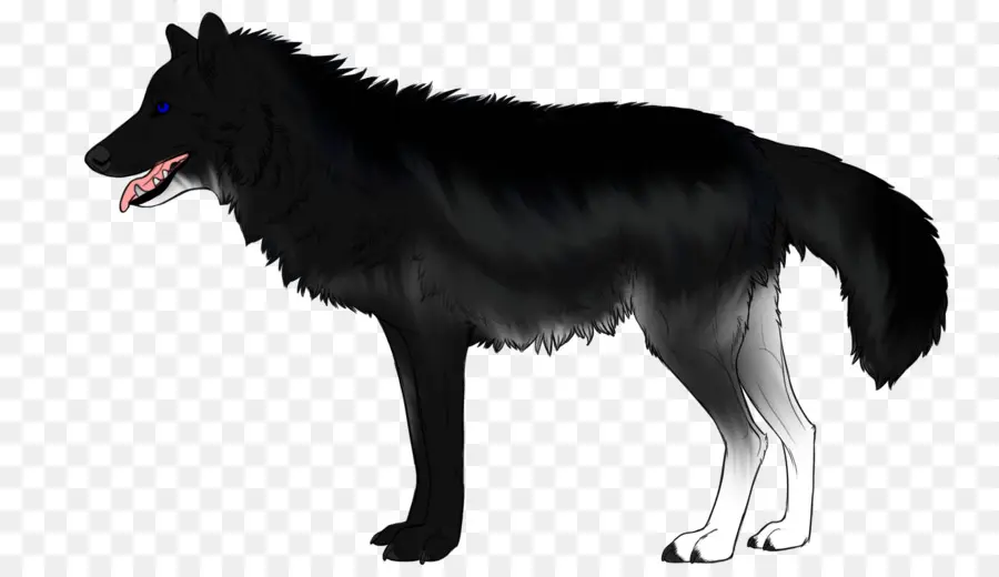 Wolfdog，Serigala Hitam PNG
