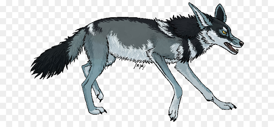 Anjing，Coyote PNG
