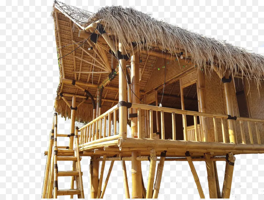 Rumah Bambu，Bambu PNG