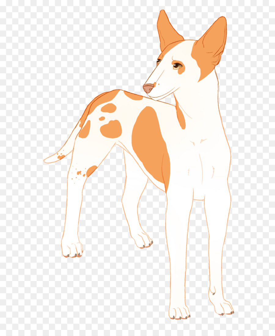 Ibiza Hound，Kumis PNG