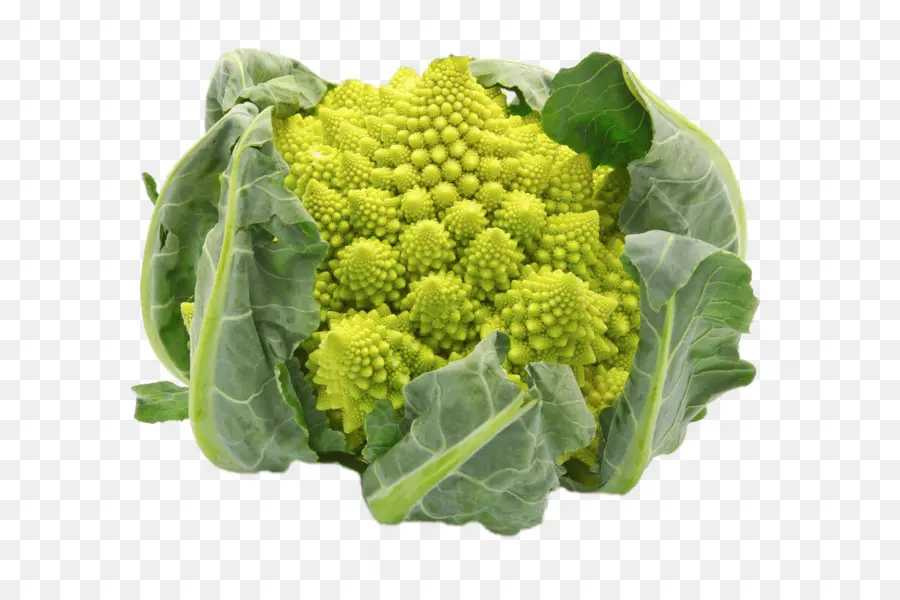 Brokoli Romanesco，Hijau PNG