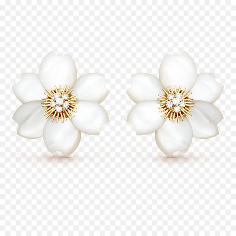 Anting Bunga Putih，Anting Anting PNG