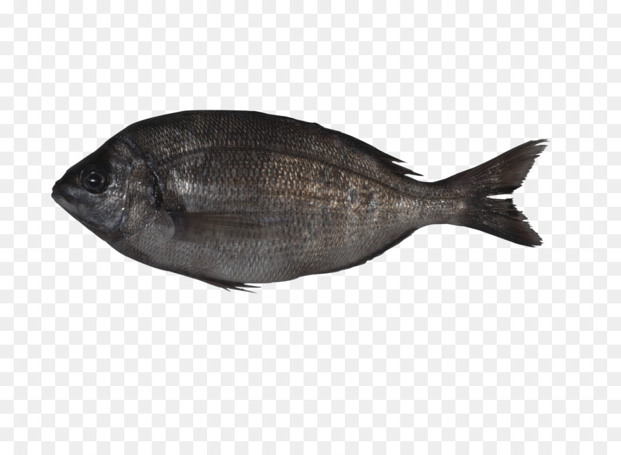 Ikan，Hidangan Laut PNG