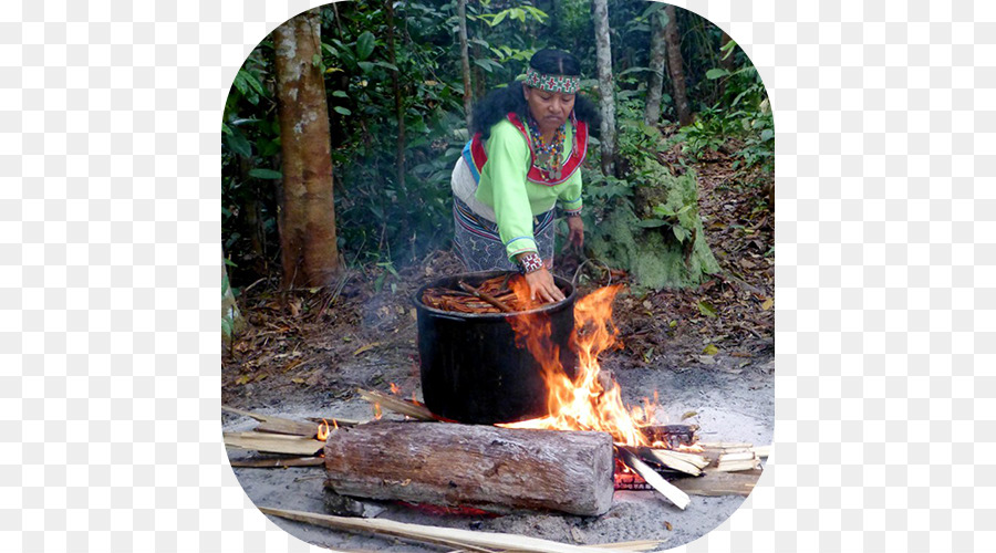 Ayahuasca，Caapi PNG