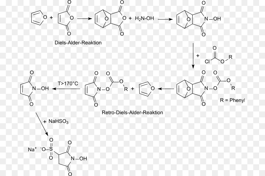 Nhydroxysulfosuccinimide Garam Natrium，Nhydroxysuccinimide PNG