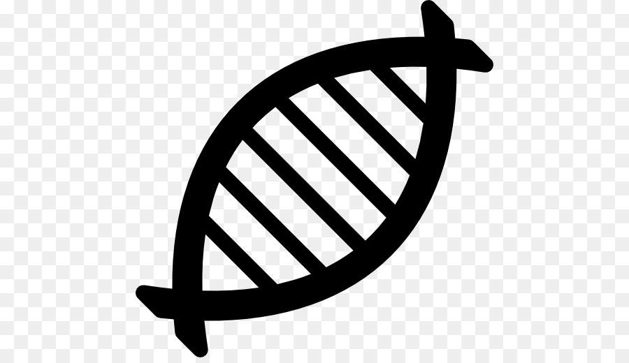 Dna，Genetika PNG