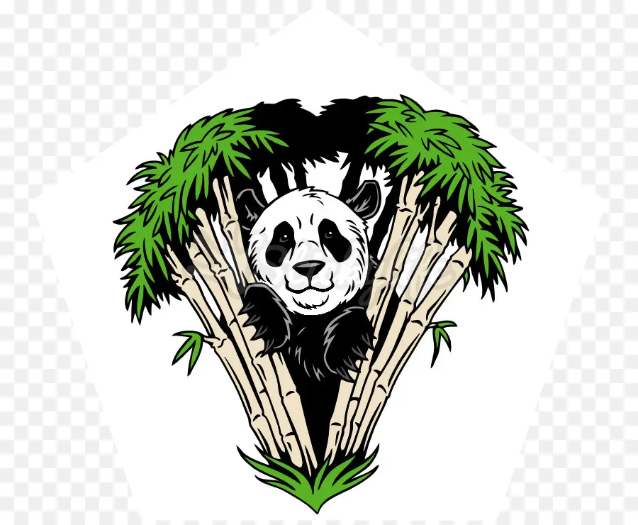 Ilustrasi Panda，Panda PNG