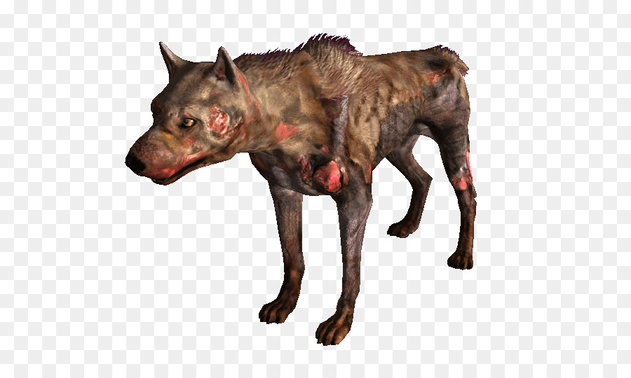 Anjing Zombi，Anjing PNG