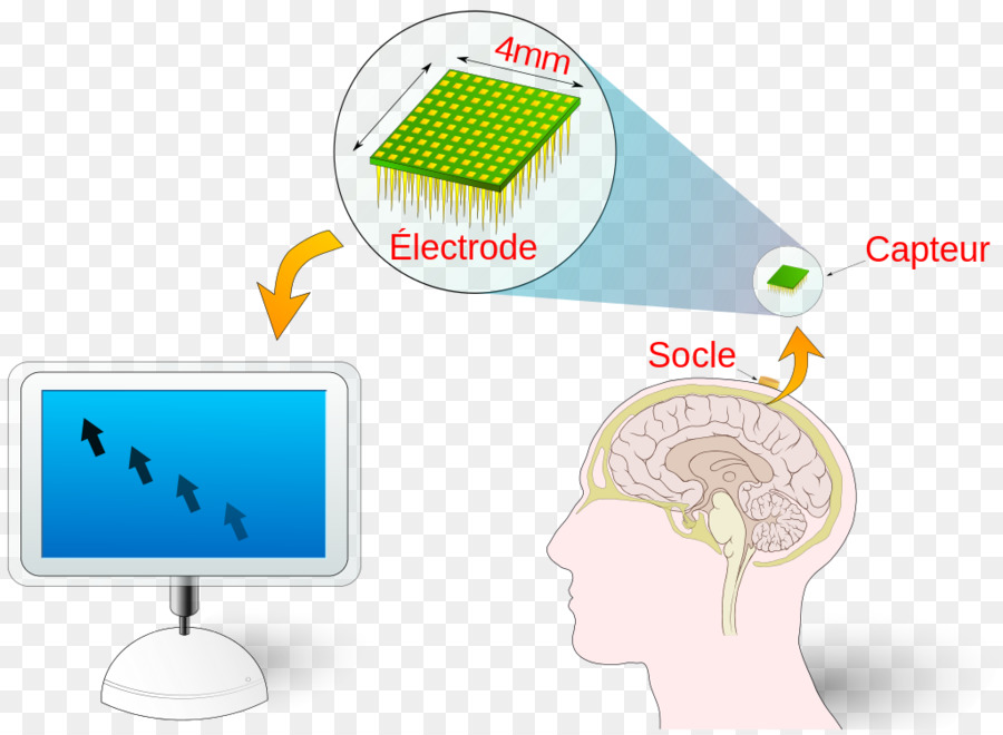 Braincomputer Antarmuka，Teknologi PNG