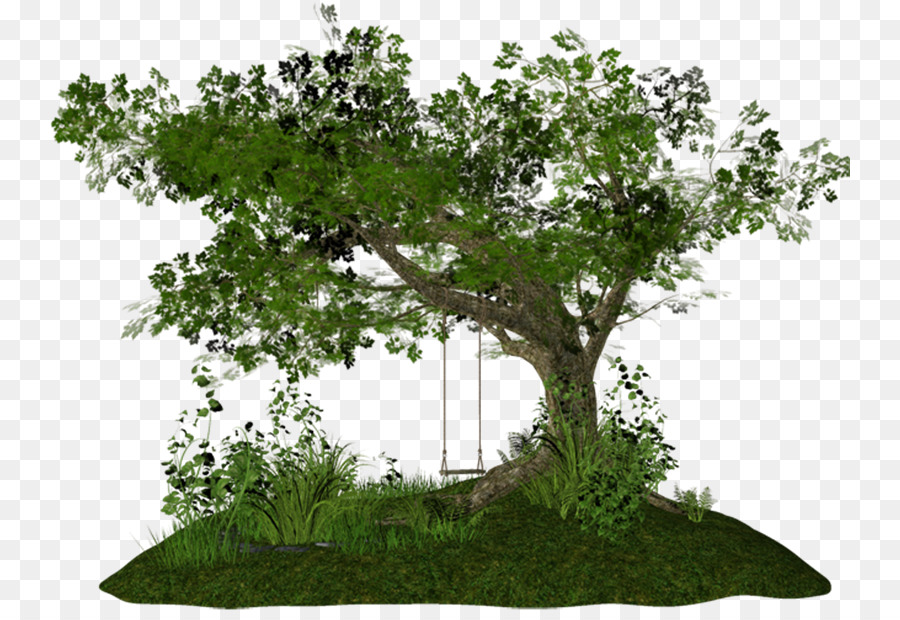 Pohon，Photoscape PNG