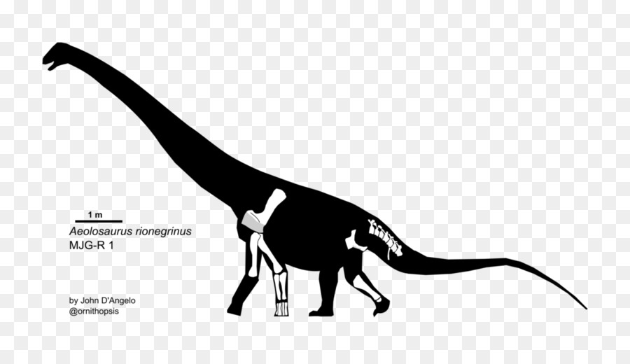 Aeolosaurus，Orang Bijak PNG