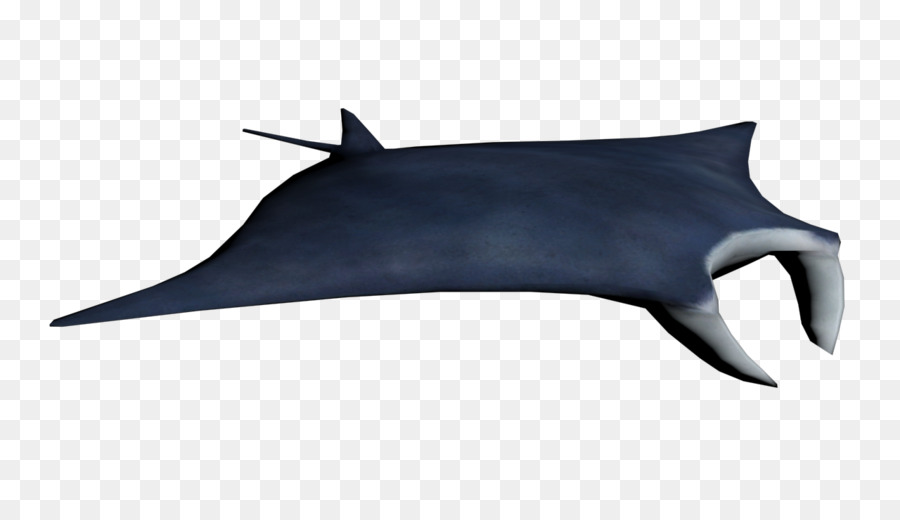 Raksasa Oceanic Manta Ray Myliobatoidei Hiu Gambar Png