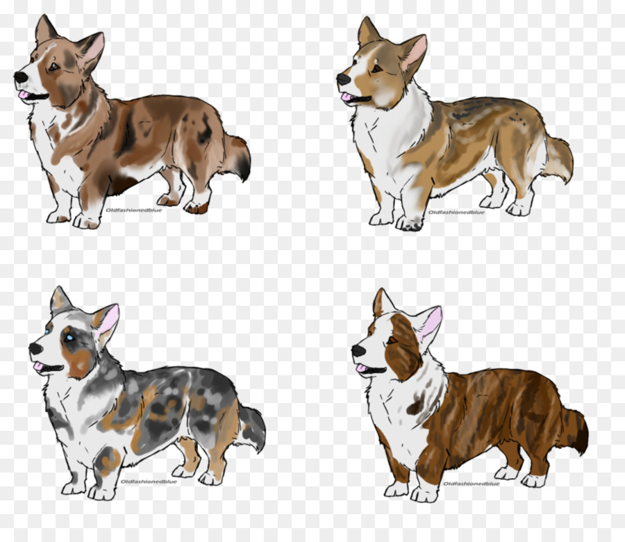 Anjing Corgi，Kartun PNG