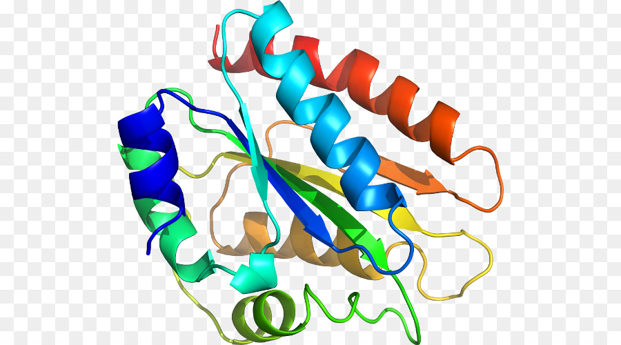 Heliks Protein，Molekul PNG