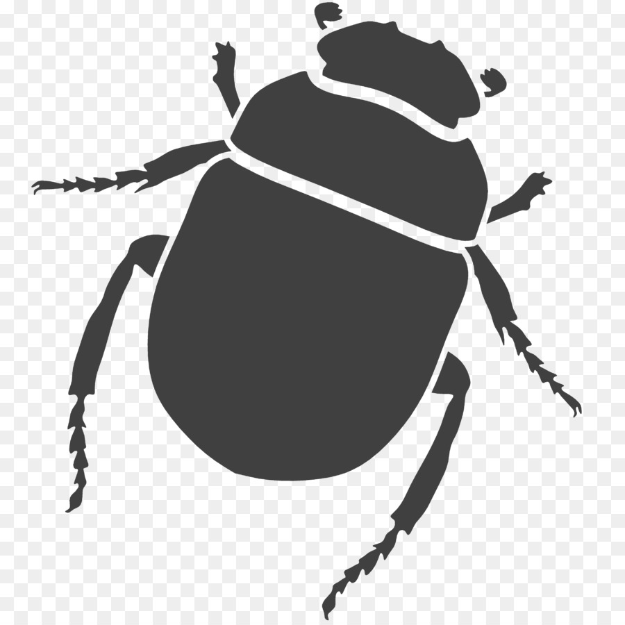 10 Ide Gambar Kumbang  Sketsa  Tea And Lead