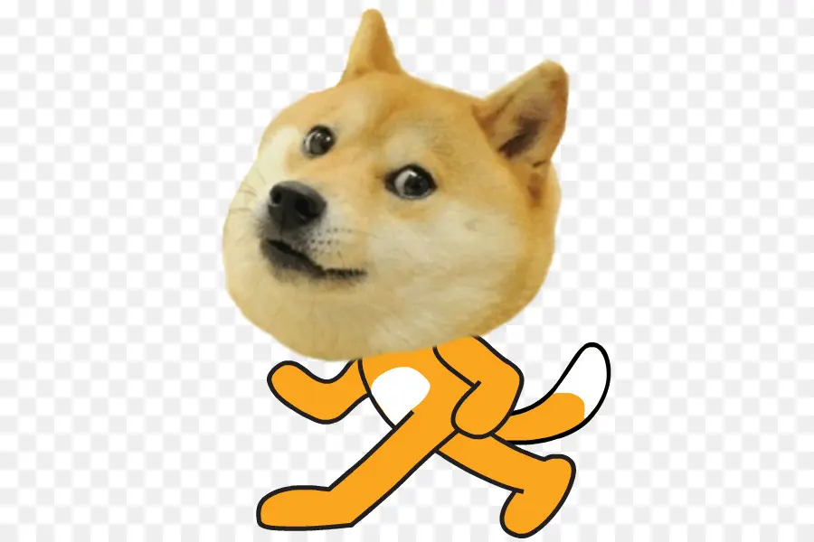 Wajah Anjing Shiba Inu，Anjing PNG