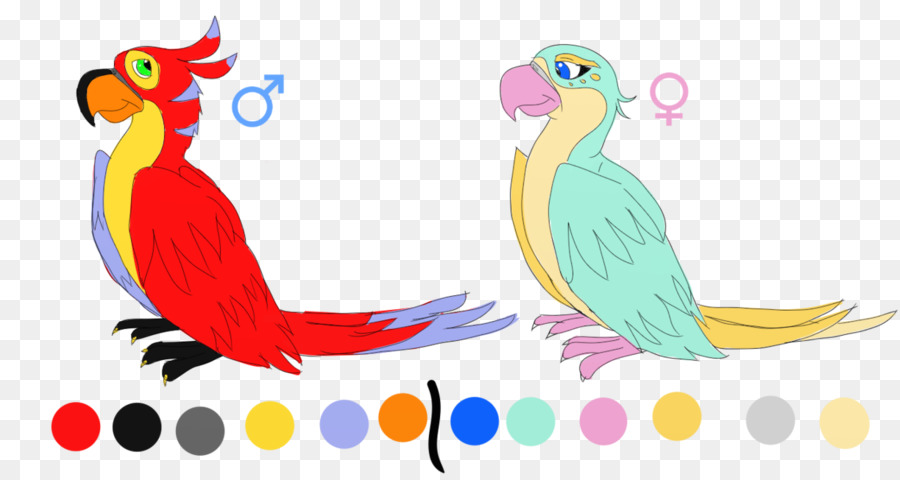 Macaw，Burung Beo PNG