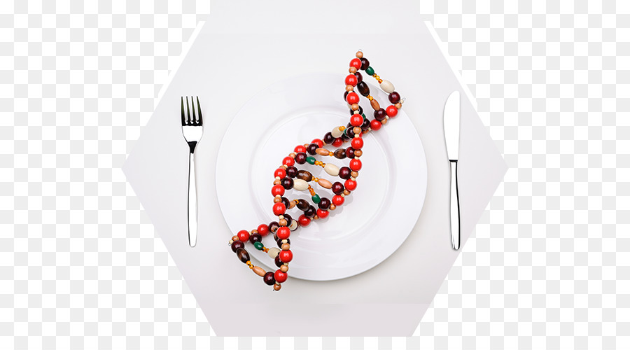 Model Dna，Piring PNG