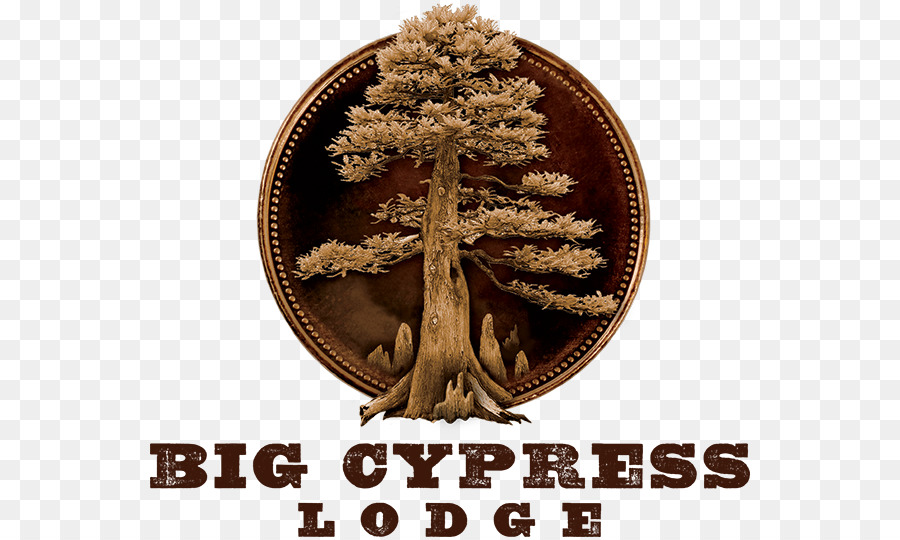 Besar Cypress Lodge，Akomodasi PNG