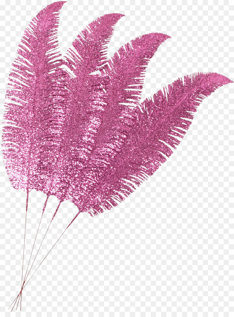 Bulu，Pink Bulu PNG