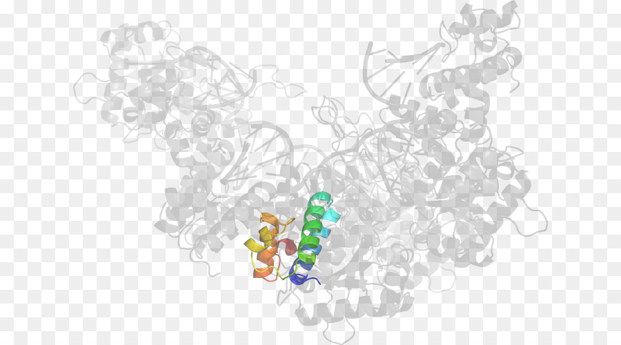 Struktur Protein，Molekul PNG