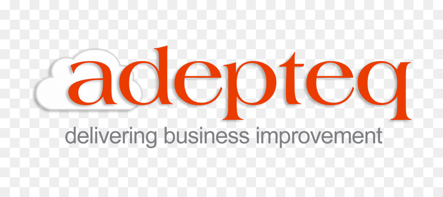 Adepteq Ltd，Organisasi PNG