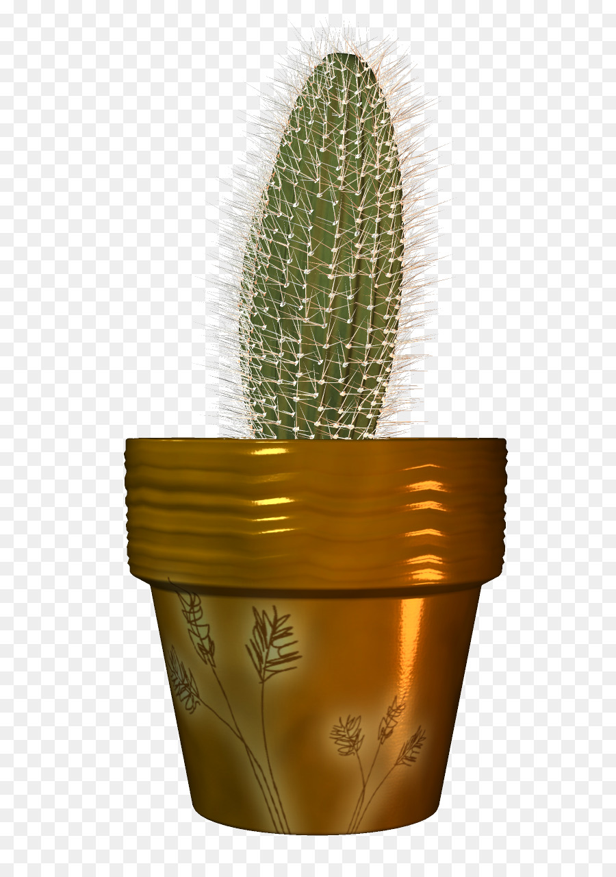 Kaktus，Pot PNG