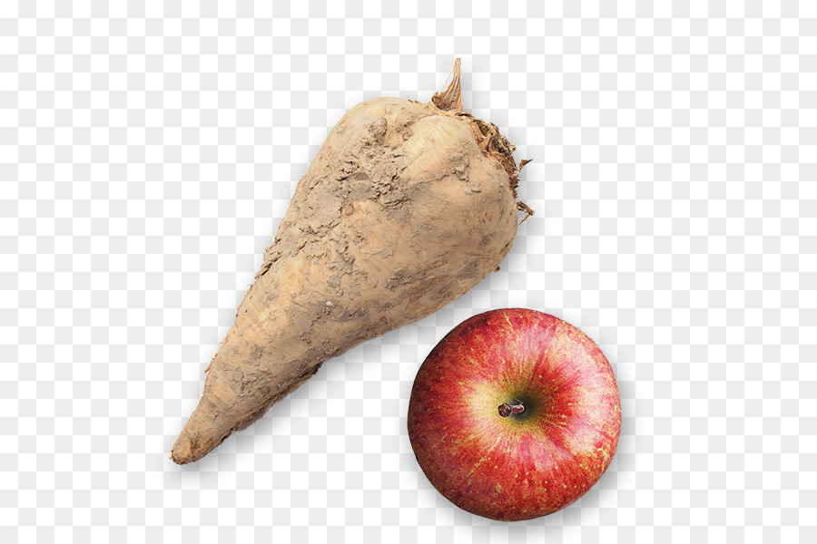 Bit Dan Apple，Akar PNG