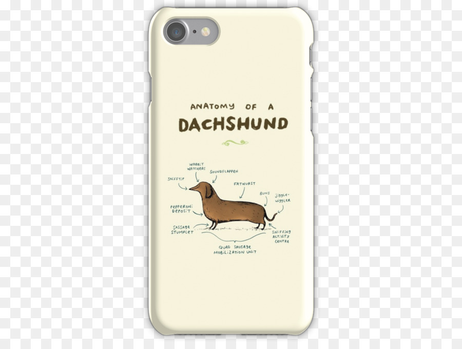 Dachshund，Hot Dog PNG