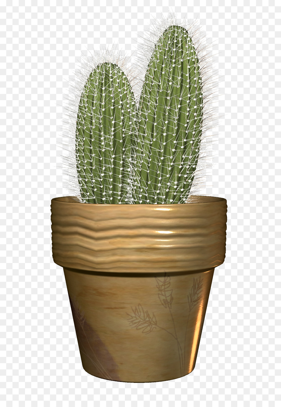 Kaktus，Pot PNG