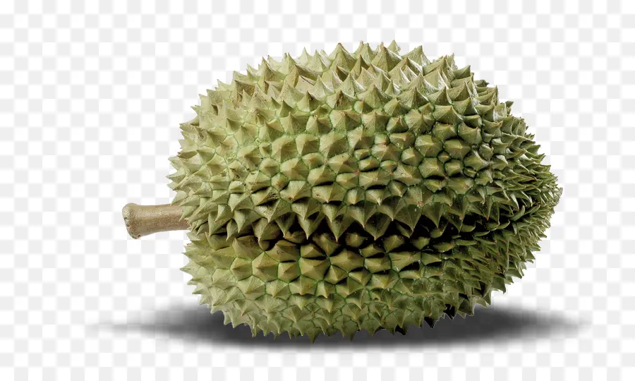 Durian，Cempedak PNG