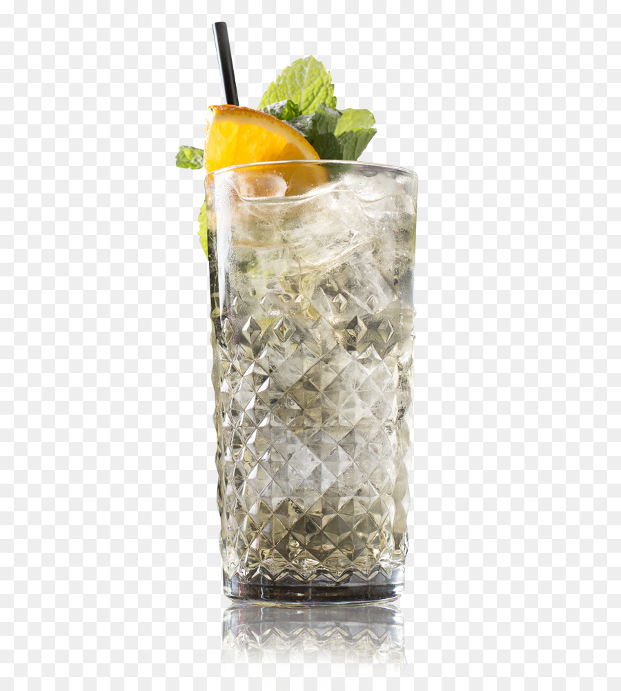 Mint Julep，Gin Dan Tonik PNG