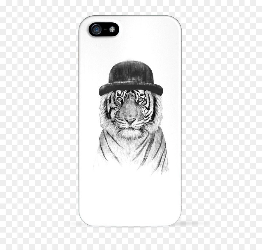 Harimau Dengan Topi，Kucing Besar PNG