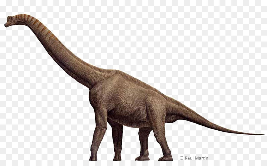 Dinosaurus，Prasejarah PNG