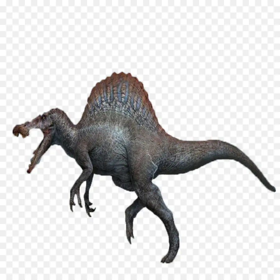 Dinosaurus，Prasejarah PNG