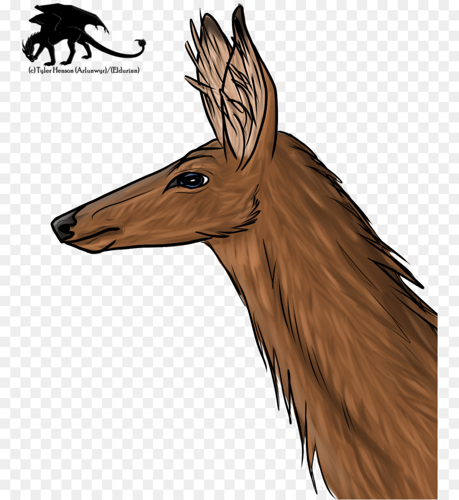 Rusa，Kuda PNG