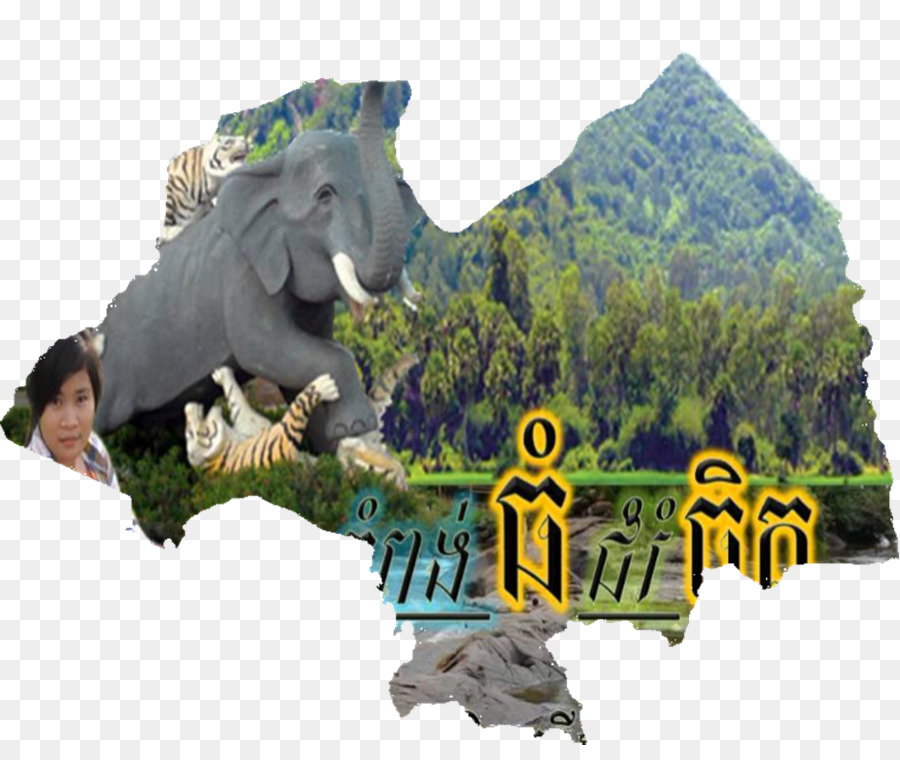 Dinosaurus，Fauna PNG