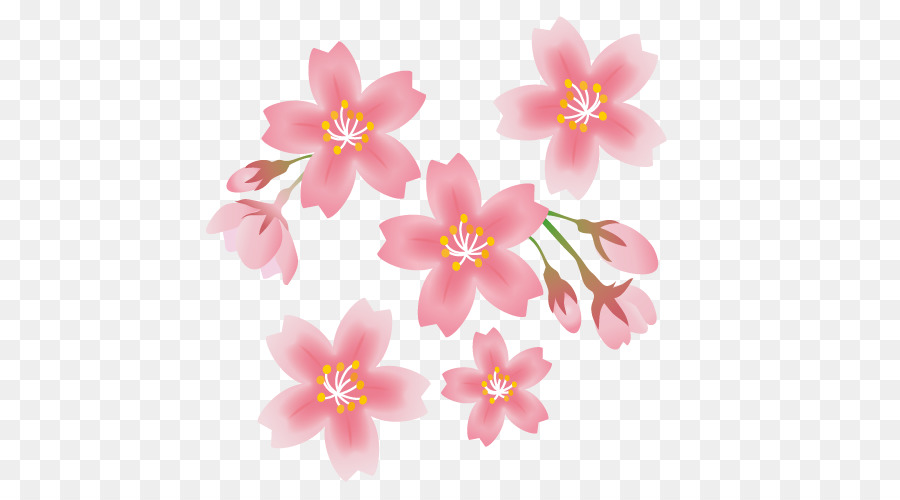 Gambar Bunga Sakura Vector  Png Gambar Ngetrend dan VIRAL