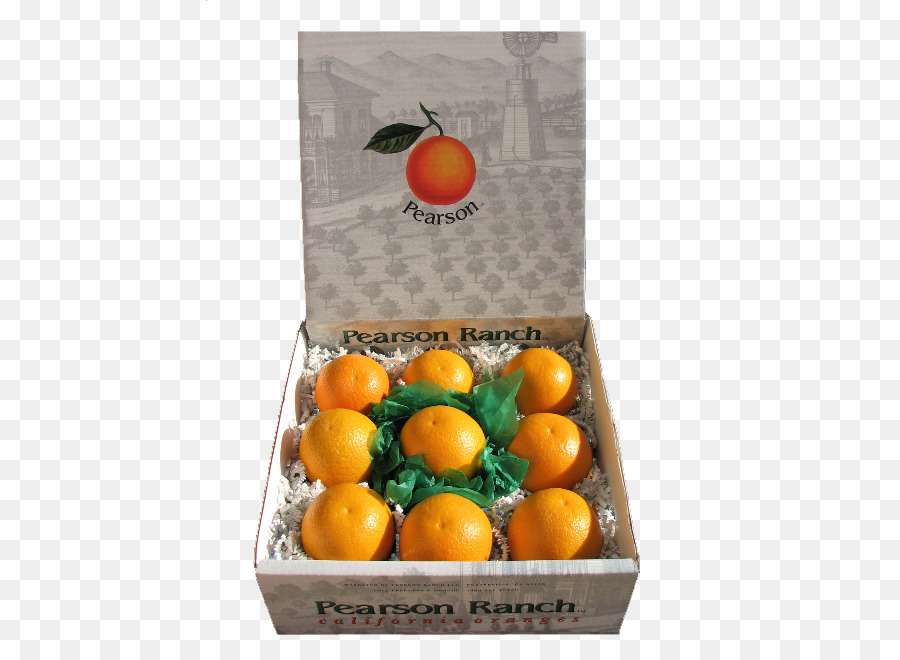 Clementine，Valencia Orange PNG