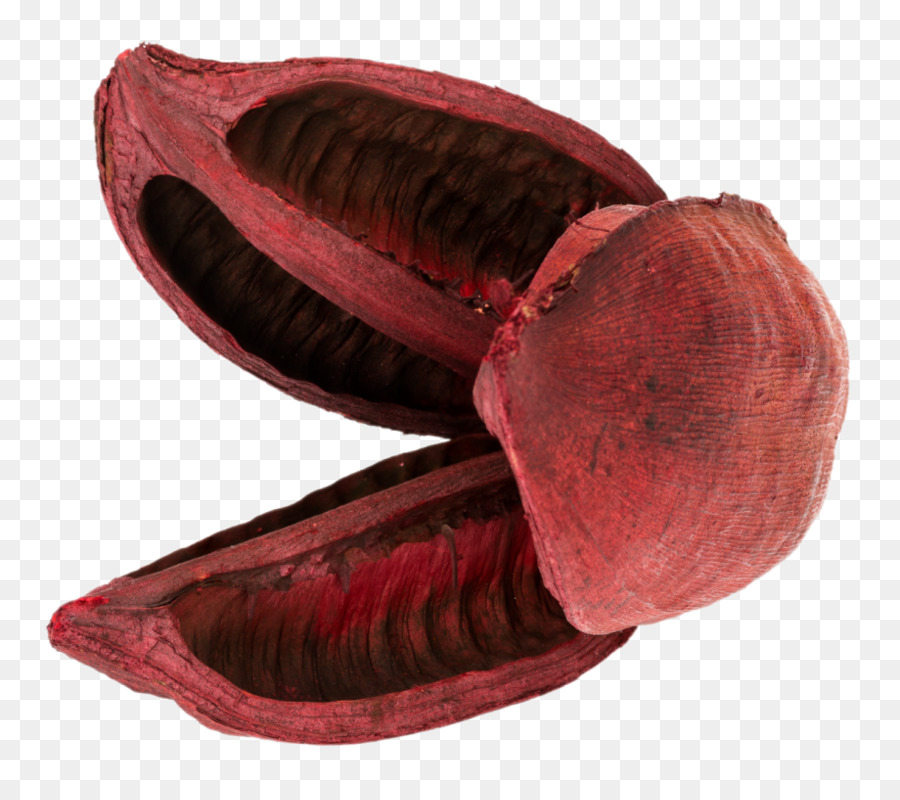 Sepatu， PNG