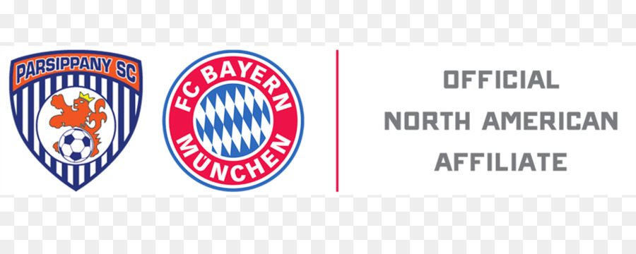 Fc Bayern Munich，Liga Champions 201718 Uefa PNG