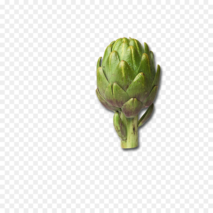 Artichoke，Sayuran Abadi PNG