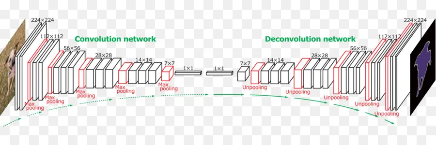 Diagram Jaringan Konvolusi，Jaringan Syaraf PNG