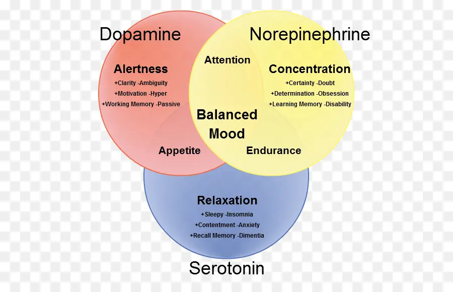 Diagram Dopamin Norepinefrin Serotonin，Neurotransmiter PNG