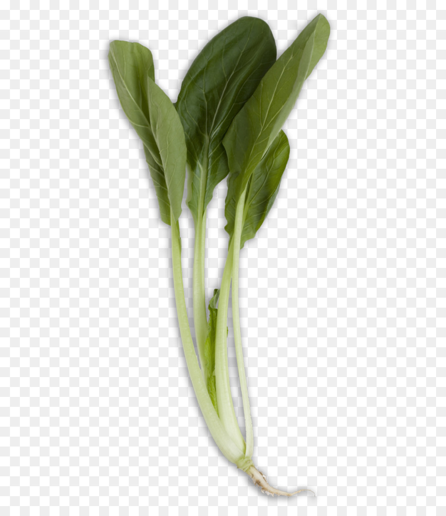 Chard，Daun Bayam Jepang PNG