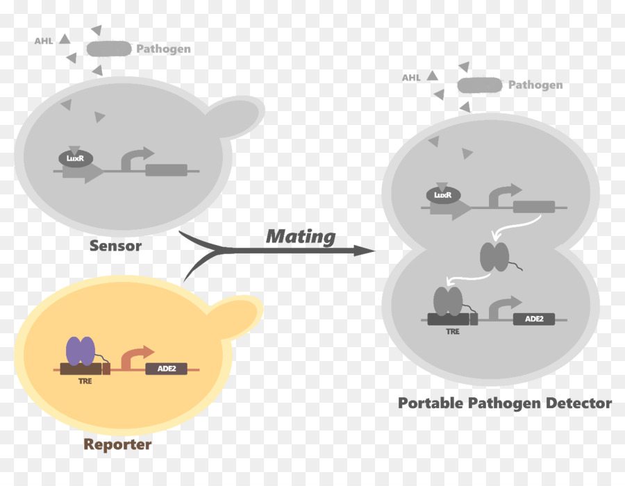 Teknologi，Kartun PNG